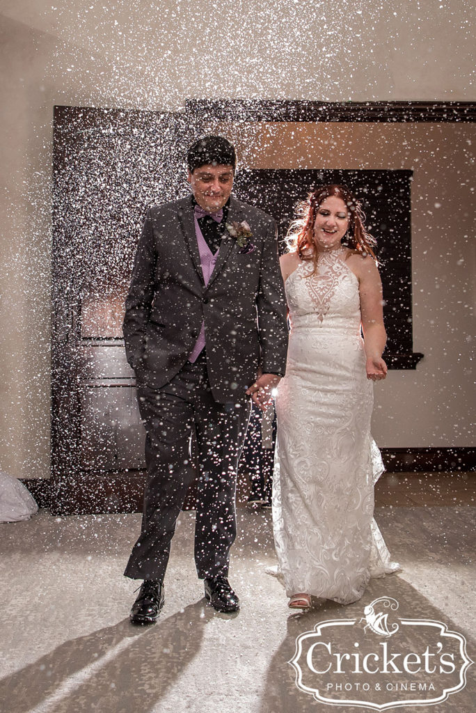 Snow in Florida Wedding