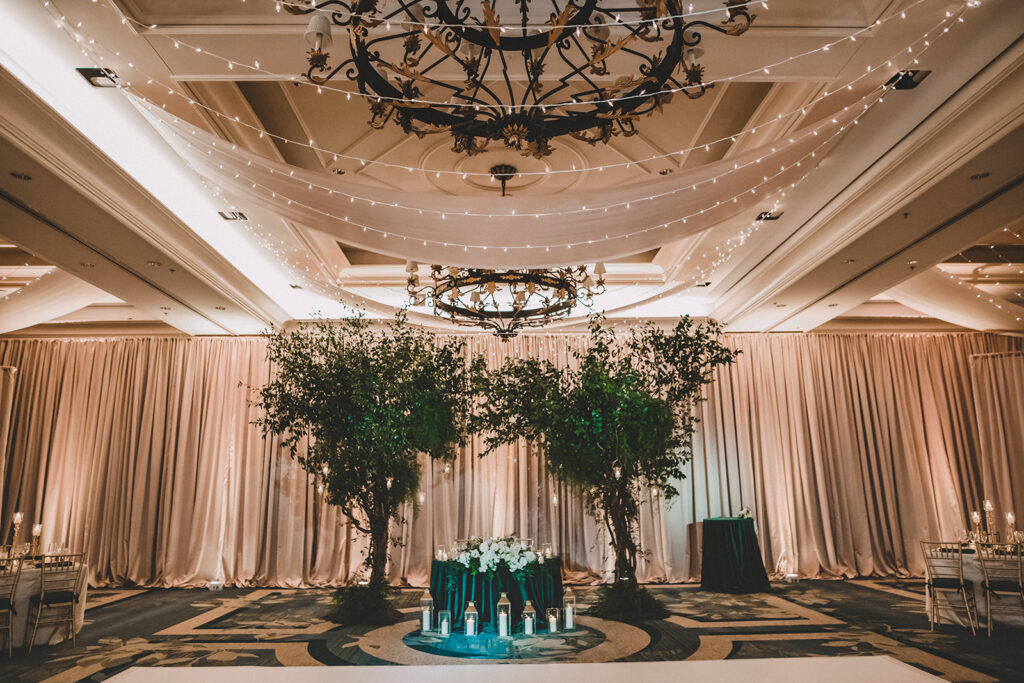 Lighted Canopy Ritz Carlton Wedding