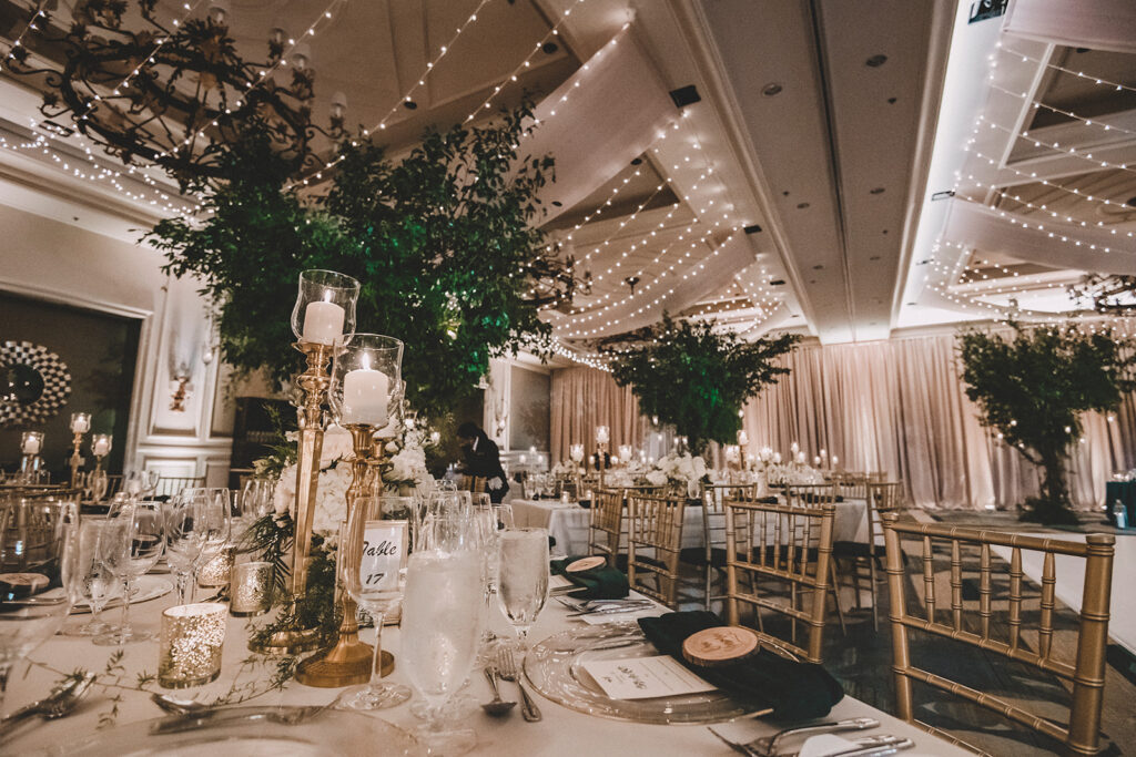 Lighted Canopy Wedding