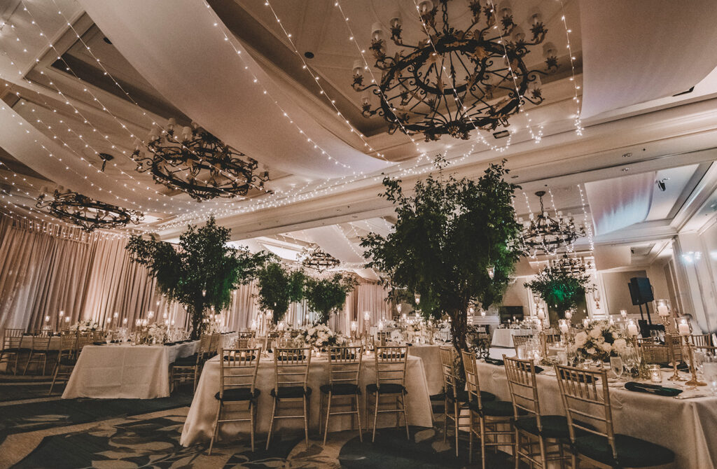 Lighted Canopy Ritz Carlton Wedding
